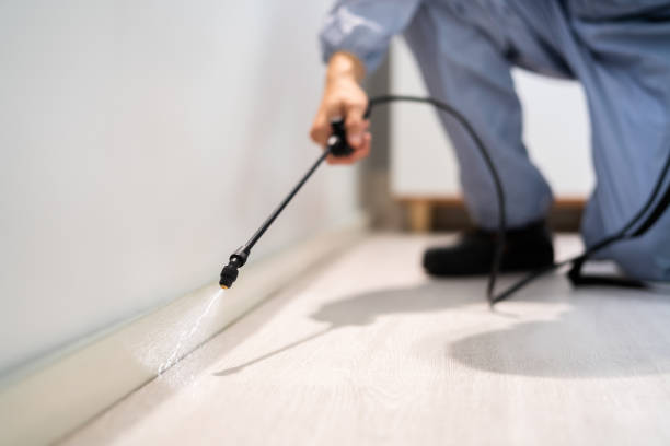 Certified termite inspector examining foundation in Camp Croft